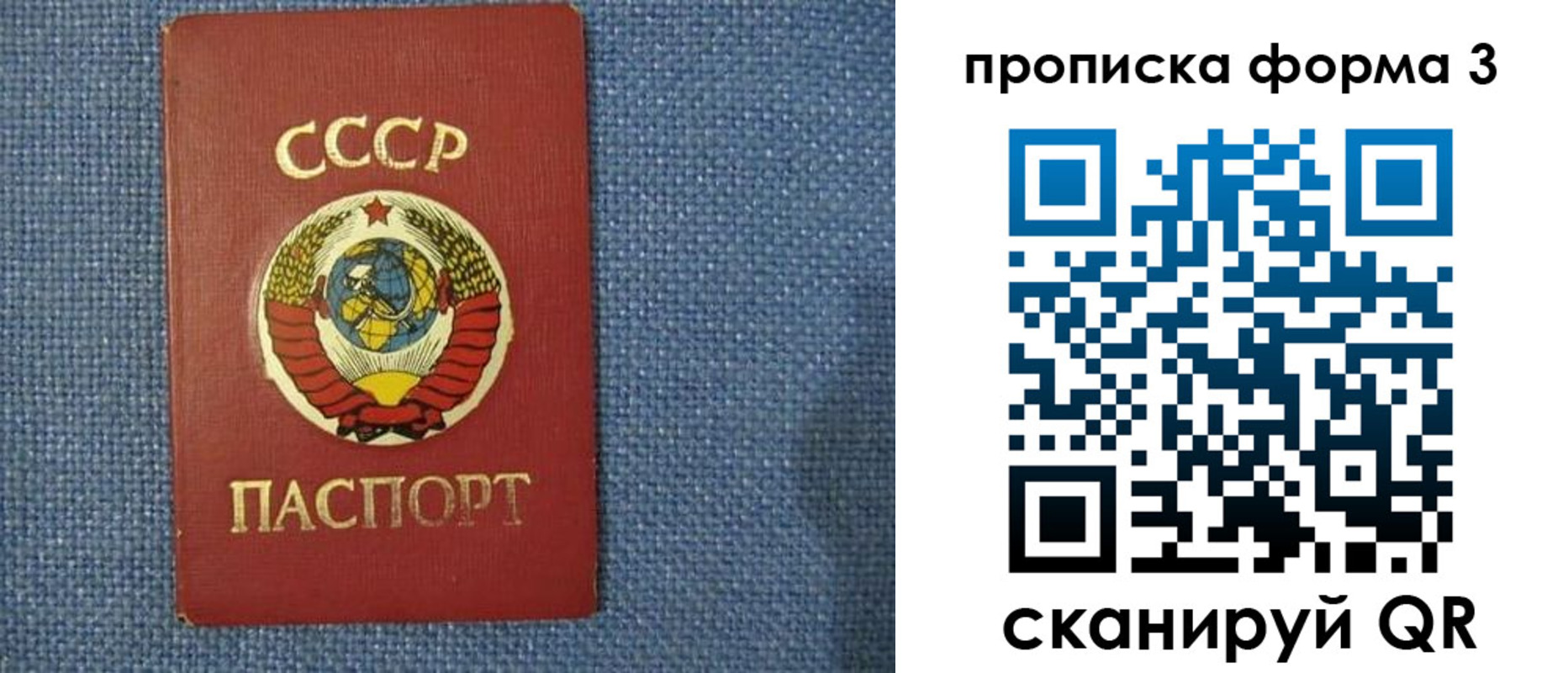 прописка гарантия в Ростове-на-Дону